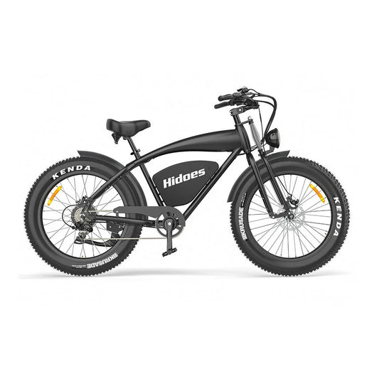 Hidoes B3 Off-road Electric Bike